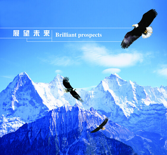 河北萬(wàn)環(huán)環(huán)?？萍加邢薰?></a>
            </dt>
            <dd>
                <h4><a href=